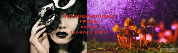экстази Горняк