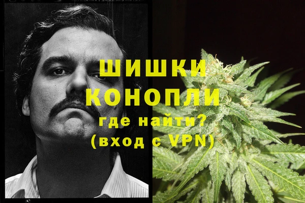 ГАЛЛЮЦИНОГЕННЫЕ ГРИБЫ Горно-Алтайск