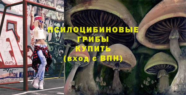 ГАЛЛЮЦИНОГЕННЫЕ ГРИБЫ Горно-Алтайск