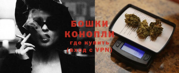 ГАЛЛЮЦИНОГЕННЫЕ ГРИБЫ Горно-Алтайск