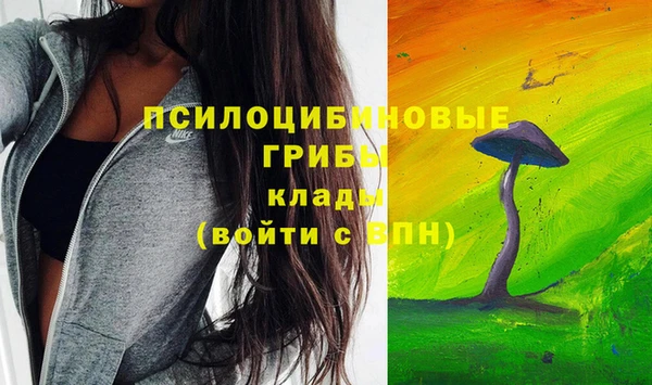 ГАЛЛЮЦИНОГЕННЫЕ ГРИБЫ Горно-Алтайск